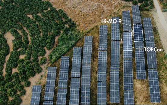 隆基BC全球实证数据出炉，发电性能与可靠性等多项指标超预期