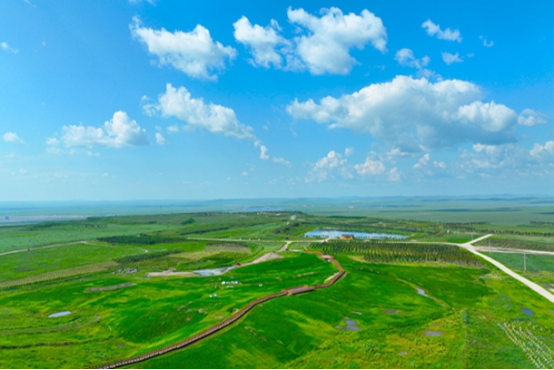 国家能源集团雁宝能源打造矿区“生态+”示范工程