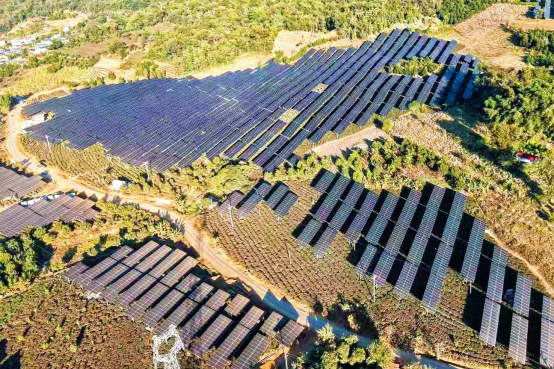 在茶山上种&ldquo;太阳&rdquo;