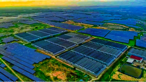 光映&ldquo;金果&rdquo;迎新景