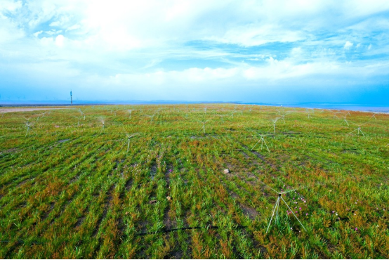 国家能源集团乌海能源：从&ldquo;黑&rdquo;到&ldquo;绿&rdquo;的嬗变