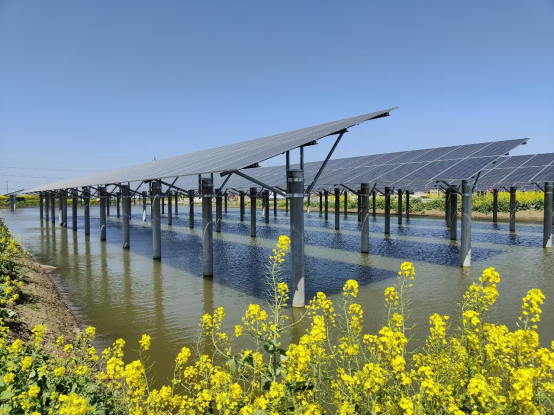 水乡新谱&ldquo;渔光曲&rdquo;