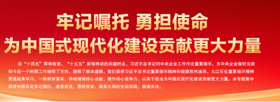 以实绩实效为中国式现代化建设贡献更大力量&mdash;&mdash;2025年度中国石化荣光印记