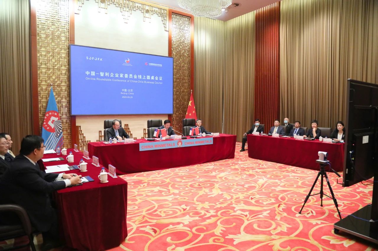 国文清出席中智企业家委员会线上圆桌会议