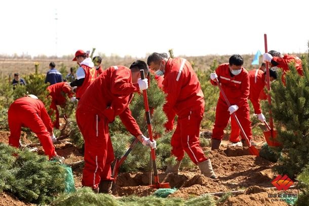 国家能源集团准能集团开展义务植树建设绿色矿山