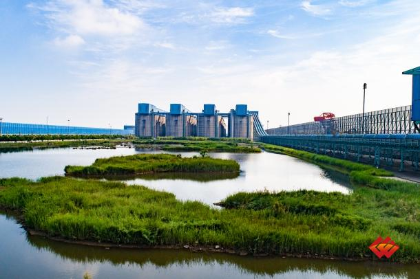 国家能源集团黄骅港务绿色成果入选世界自然基金会案例集