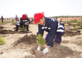 国家能源集团雁宝能源植树添绿推进生态文明建设