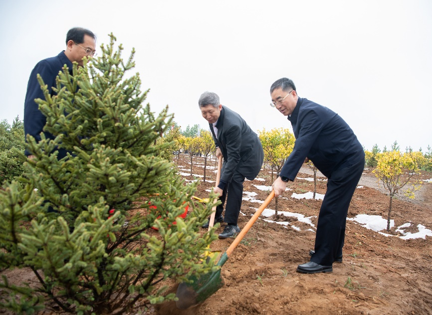 国家能源集团与西门子能源共建公益林项目